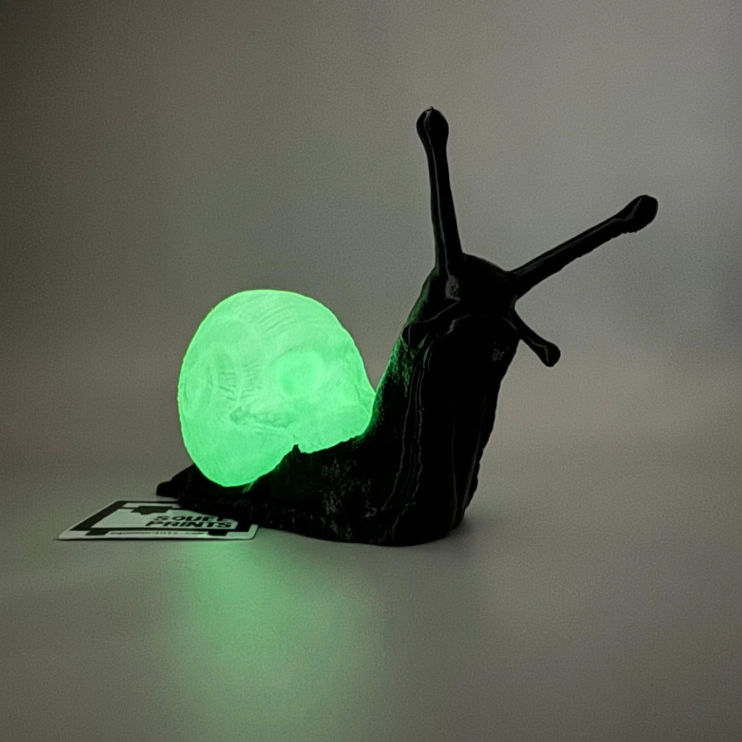Death Snail with Skull Shell | 3D Printed - Squee Prints