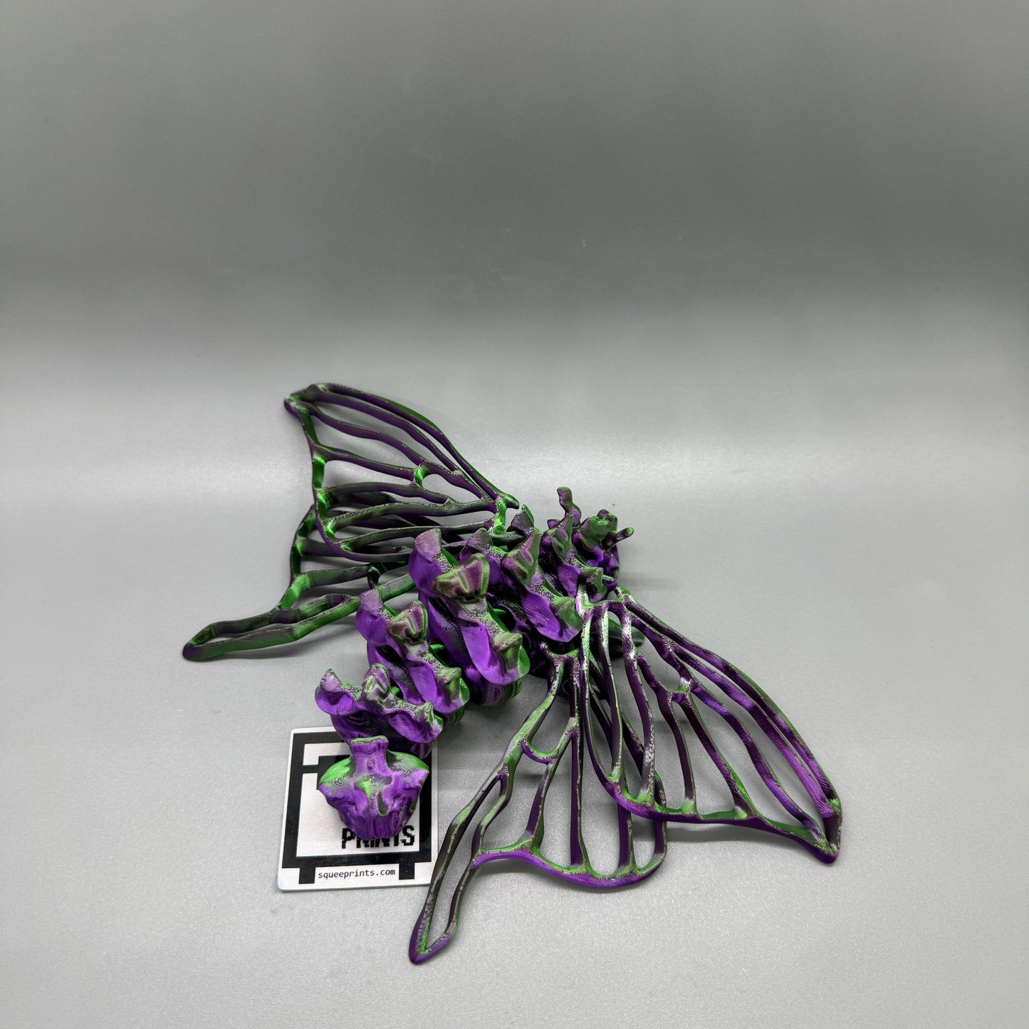 Bone Moth | Articulated Skeleton - Squee Prints