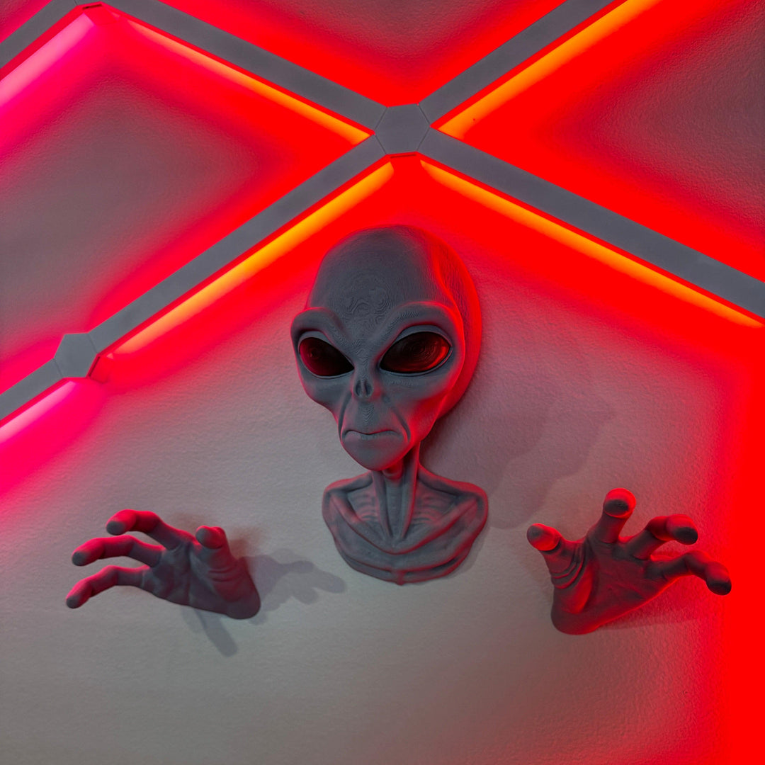 Alien | Wall Buster | Wall Art | 3D Printed - Squee Prints