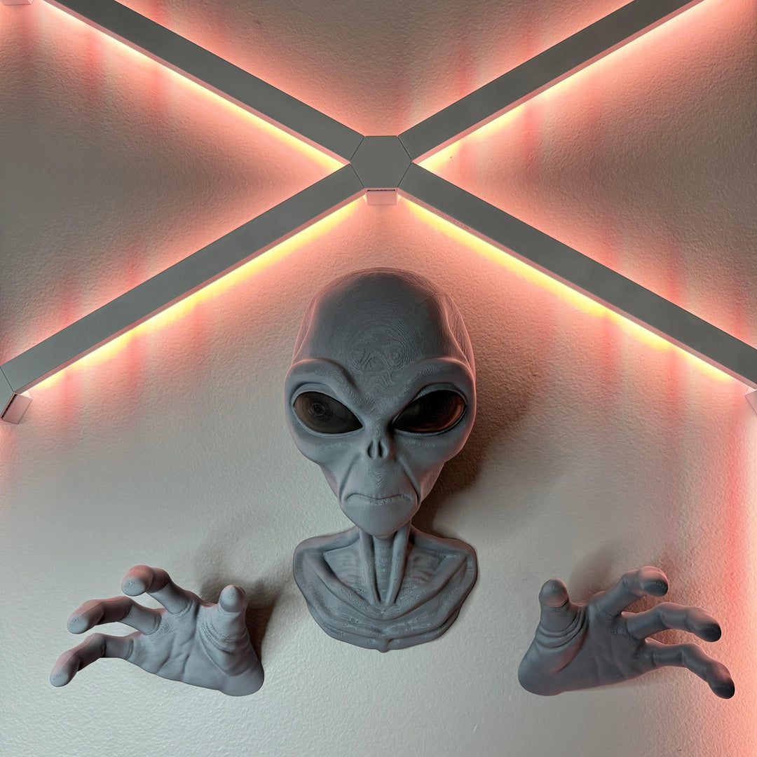 Alien | Wall Buster | Wall Art | 3D Printed - Squee Prints